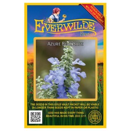 Everwilde Farms - 50 Blue Sage Native Wildflower Seeds - Gold Vault Seed Packet