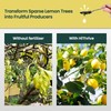 16oz Lemon Tree Fertilizer - Makes 32 Gallons of Fruit