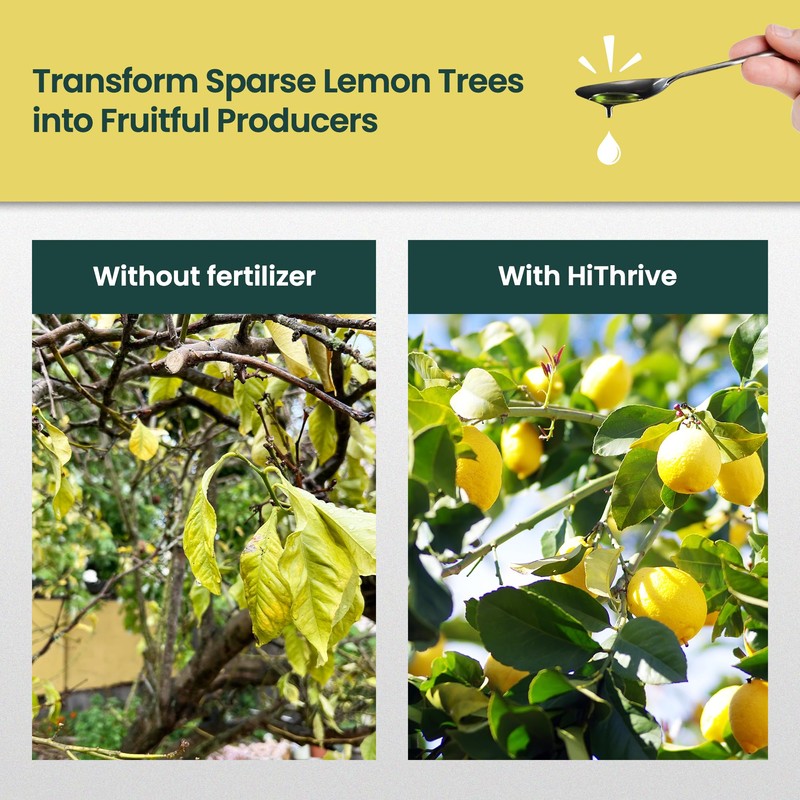 16oz Lemon Tree Fertilizer - Makes 32 Gallons of Fruit