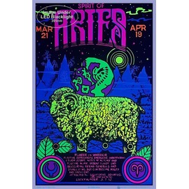 Aries Zodiac Sign - Flocked - Blacklight Poster - 23" x 35"