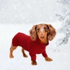 Geyecete Dachshund Sweater Dog Turtleneck Sweater,Cold Weather Cable Knitwear Small