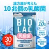 【生きた乳酸菌】10兆個 22種類 BIOLAC(30日分/30カプセル) ビフィズス菌 有胞子性 酪酸菌 フェカリス菌 イヌリン オリゴ糖 プロバイオティクス