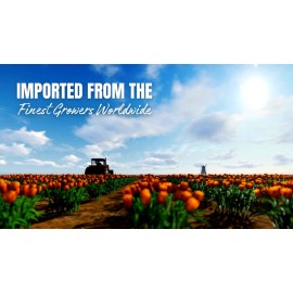 Garden State Bulb Meyer Lemon Tree - Live Citrus Plant (1 Gallon Potted)