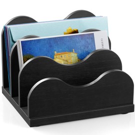 DRASTAR Mail Organizer Countertop, Letter Holder for Desk, Mail Sorter with 3 Slots, Black Small File Holder, Envelope Organizer for Home Office