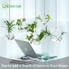 Glasseam Hanging Planters Glass Terrarium: 5Pcs Modern Plant Propagation Stations