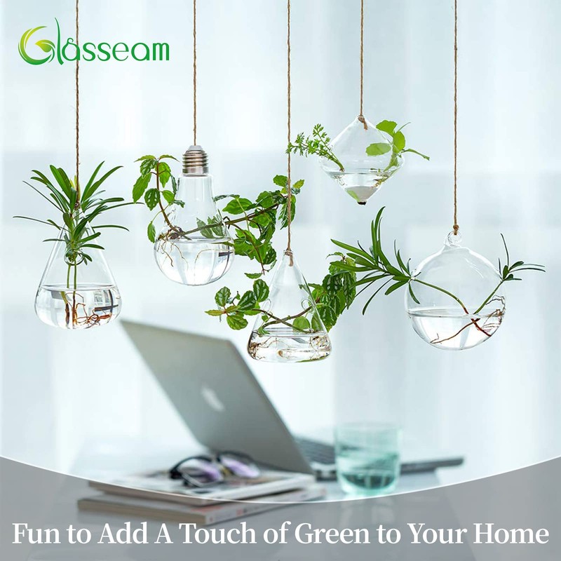 Glasseam Hanging Planters Glass Terrarium: 5Pcs Modern Plant Propagation Stations