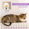 Calming Pheromone Diffuser Kit for Cats, Reduces Fighting, Spraying &