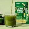 hallberry Whole Berry Super Green Salad Powder Stick Vegetable Powder 30 Packets / 홀베리 슈퍼그린 샐러드 분말 스틱 야채 파우더 30포