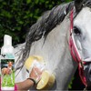The Blissful Horses Gentle Touch Horse Shampoo, Hypoallergenic and Tearless