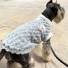 Teumessian Thermal Double-face Fleece Dog Sweater for Small Dogs Winter
