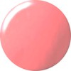 kokoist 4-Colored Gels E – 79S 2.5 G Pink Pebble