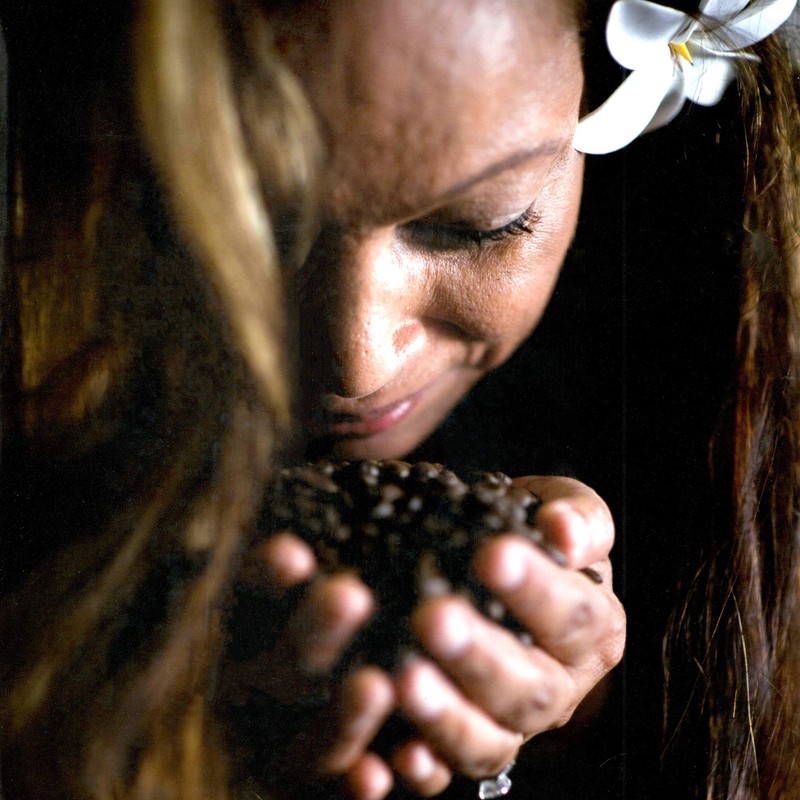 Kona Joe Gourmet Coffee Blend, Dark Roast Whole Bean Coffee