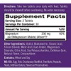 나트롤 츄어블 마그네슘 250mg 60정 (1개월분) Natrol High Absorption Magnesium