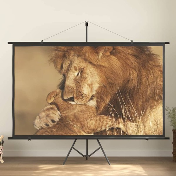 YLIEHS Enhance Presentations with 100" Projection Screen, Durable Iron Construction,