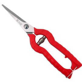 KATUR Garden Rose Pruning Shears Scissors, Professional Hand Pruners Straight Blades Stainless Steel for Flower Arranging, Plant Trimming, Fruit Harvesting (65mm Blade Length)