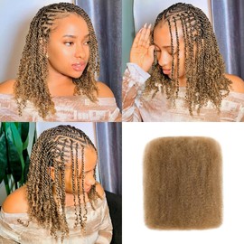 Afro Kinkys Bulk Human Hair, 14 Inch 50G/Pack Soft 4C Afro Kinky-Curly Human Hair Bulk for Twist Dreadlocks Extensions Repair Locs #27 1 Pack (27#, 14 inch)