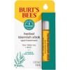 Burt's Bees Herbal Blemish Stick, 0.26 Fl Oz (Pack of