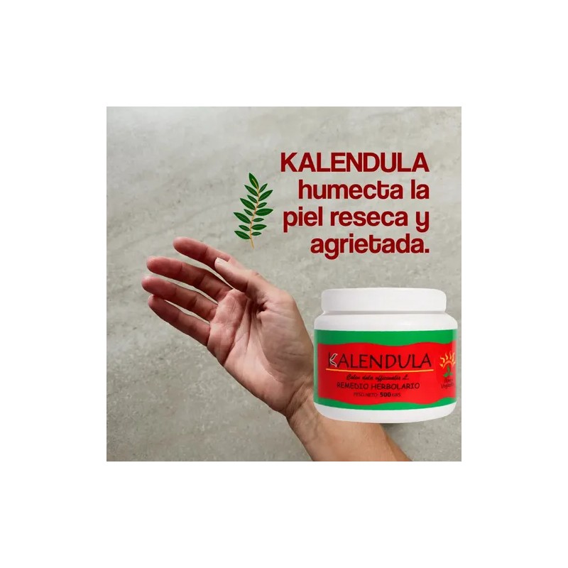 Pomada Cicatrizante Kalendula 500g Piel Hidratante Calendula