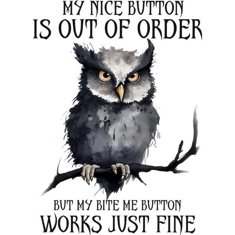 CafePress Funny Grumpy Owl Saying Rectangle Car Bumper Magnet
