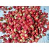 [꿈꾸는 다래농원] 영월 별빛고운 딸기잼 280g [Dreaming Darae Farm] Yeongwol