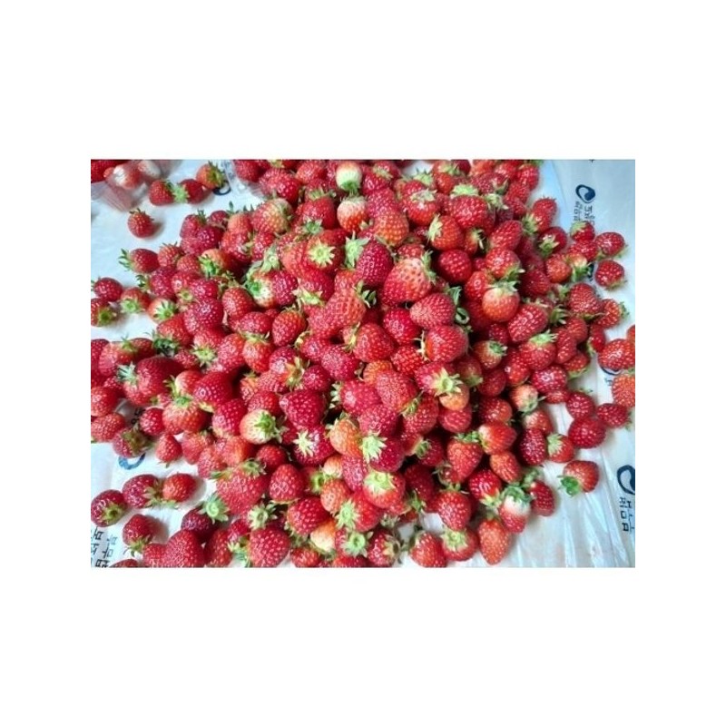 [꿈꾸는 다래농원] 영월 별빛고운 딸기잼 280g [Dreaming Darae Farm] Yeongwol