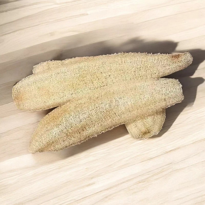 NYgardenia 20pcs Ridged Sponge Gourd Seeds – Heirloom Angled Luffa