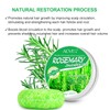 Rosemary Solid Shampoo Bar, 2 Pieces, Hair Soap, Anti Dandruff