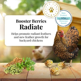 LAFEBER'S Booster Berries Radiate Chicken Supplement, for Chickens (3lb)