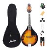 JinQu Model A mandolin instrument for beginners, children, adults; 8-string