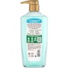 Garnier Whole Blends Refrescante agua de coco y extractos de