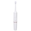 Plaque Remover IPX7 Waterproof Multifunction Electric Teeth Cleaning Kit for