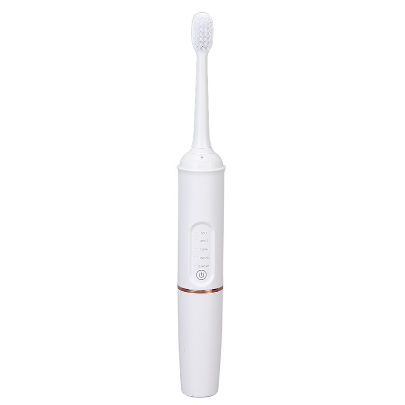 Plaque Remover IPX7 Waterproof Multifunction Electric Teeth Cleaning Kit for