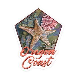 Lantern Press Sticker Oregon Coast, Tidepool, Die Cut Vinyl, (Waterproof Decal for Cars, Water Bottles, Laptops, Coolers), Small