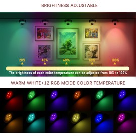 Maooght 3 Pack Black Picture Lights for Wall Battery Operated,12 RGB Color Changing Led Wall Art Light, Magnetic Painting Light with Remote Control,Art Gallery Lights Photo Sconce for Art Display