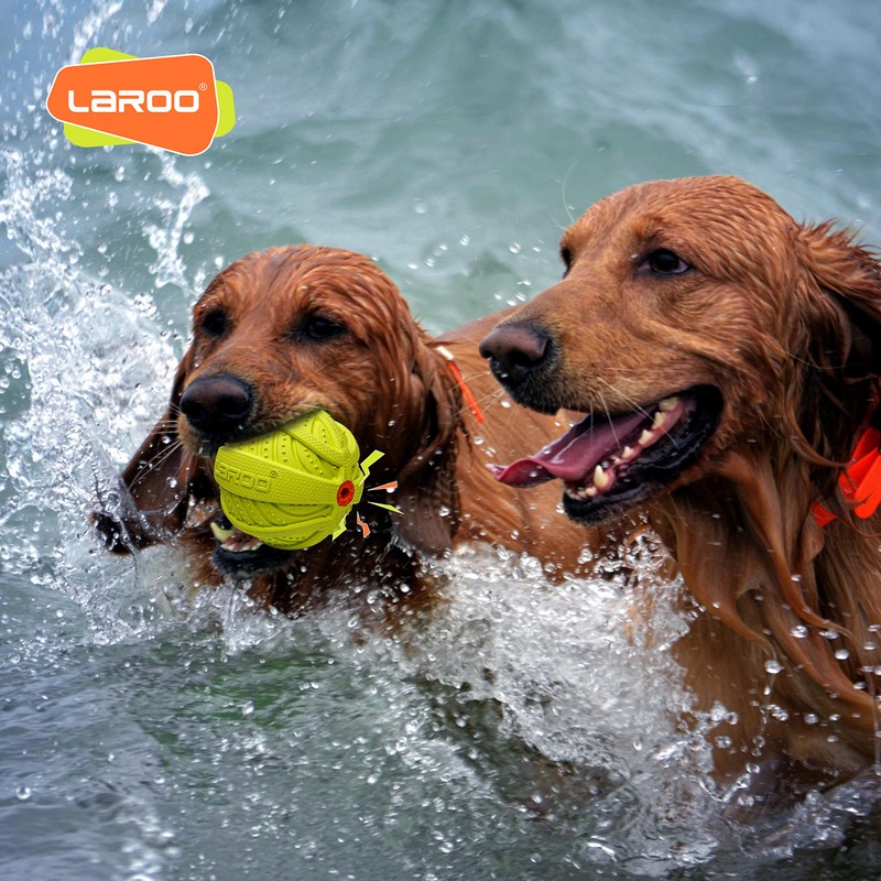 LaRoo Dog Toy, Sounding Toy, Chew Toy, Natural Lava Toothpaste,