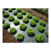 Grower's Solution Black Plastic Mulch 4ft. X 100ft. 1.0 Mil