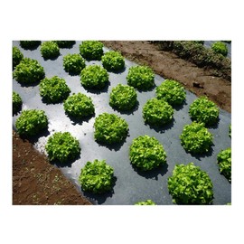 Grower's Solution Black Plastic Mulch 4ft. X 100ft. 1.0 Mil Embossed