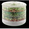 Biosta Sprouter with 3 levels - Green Tint Brand: Biosta