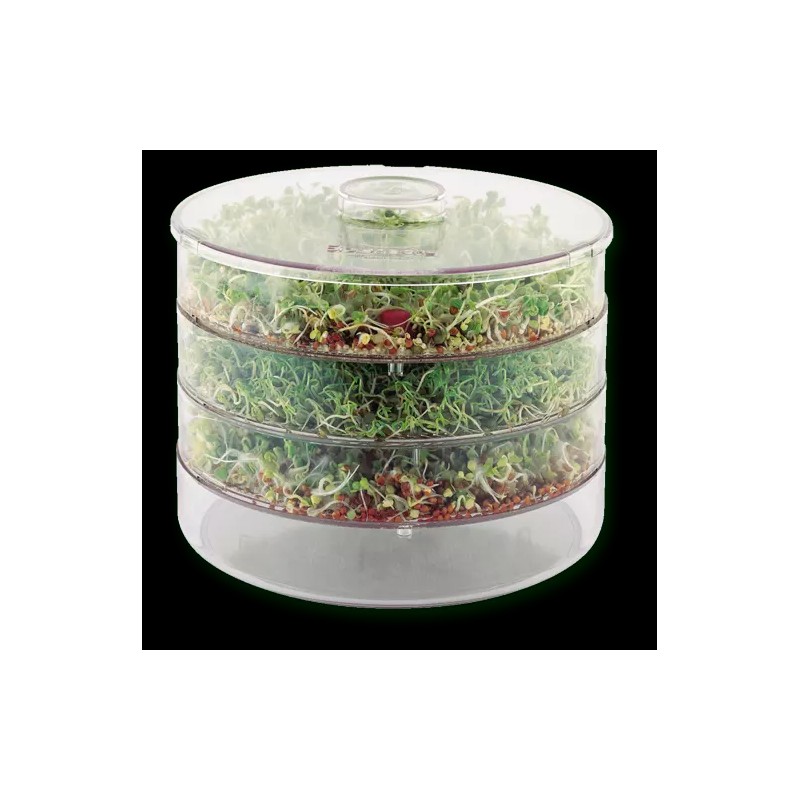 Biosta Sprouter with 3 levels - Green Tint Brand: Biosta
