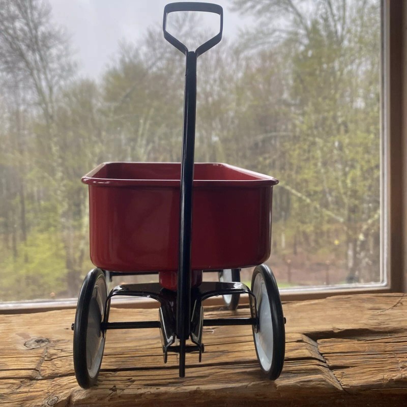 Teleflora Babys First Wagon