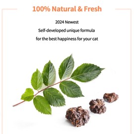 YWAOOH Cat Toys - Blend Silvervine Powder 75g with 5 Pouches, Catnip Alternative, 100% Natural Silver Vine Gall Fruit Powder & Silvervine Leaves, Suitable for All Cat Ages