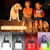 Dog Lights for Night Walking, Clip on Dog Collar Light