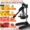 Manual Fruit Juicer Hand Press Citrus Squeezer for Home