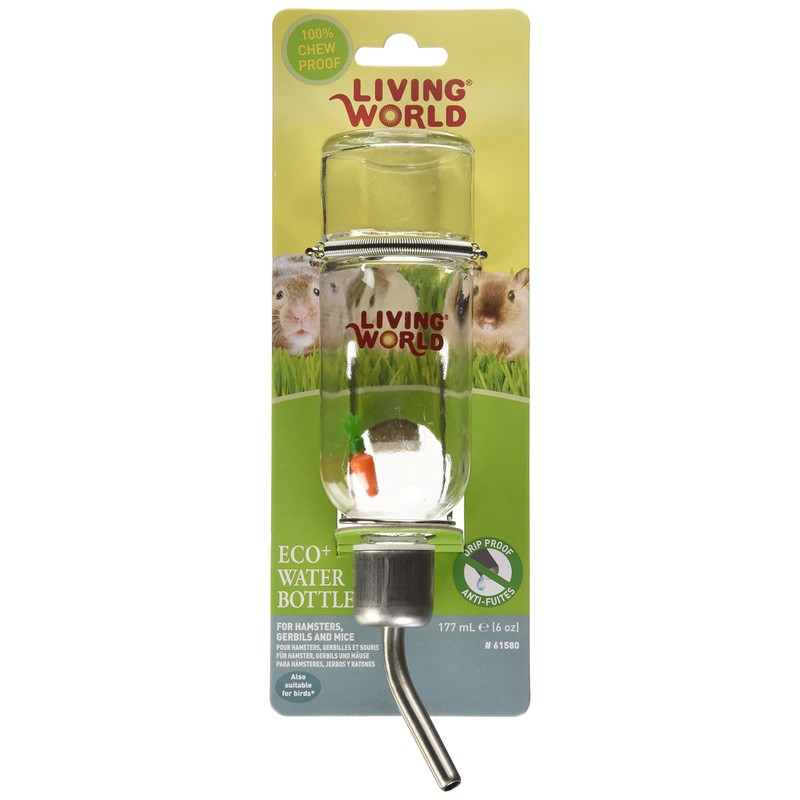 Living World Eco Chew Proof Water Bottle, 177 ml, 6
