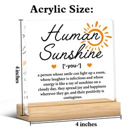 Human Sunshine Motivational Gifts for Women Men, Thank You Appreciation Gifts for Teacher Friends Coworkers Doctor Nurse Leader Coach Mentor Acrylic Desk Sign Decor Home Office Decor, 4 x 4 Inches