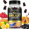 Shilajit Gummies, Pure Himalayan Shilajit Gummies with 100% Shilajit, Shilajit