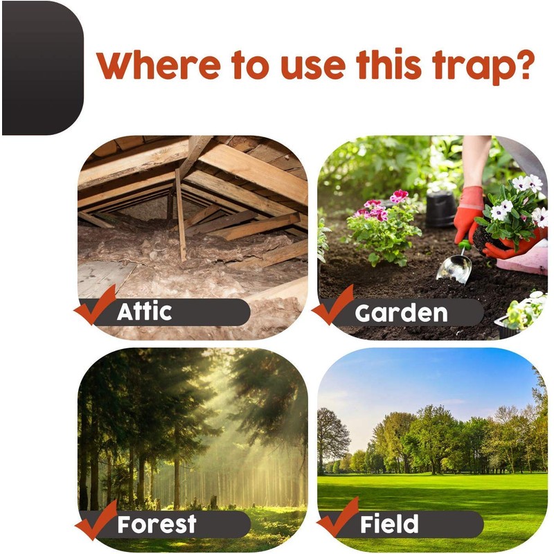 Squirrel Traps Outdoor - Squirrel Traps - Ouell Traps -