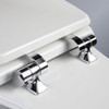 Plexon Toilet Seat with Chrome Hinges, Slow Close Wood Seat,