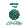 Probiotics Lactobacillus Postbiotics 2 months / 프로바이오틱스 유산균 포스트바이오틱스 2개월