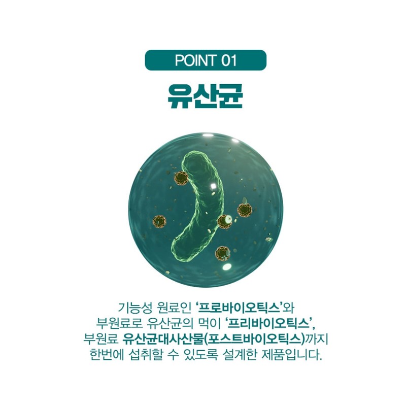 Probiotics Lactobacillus Postbiotics 2 months / 프로바이오틱스 유산균 포스트바이오틱스 2개월